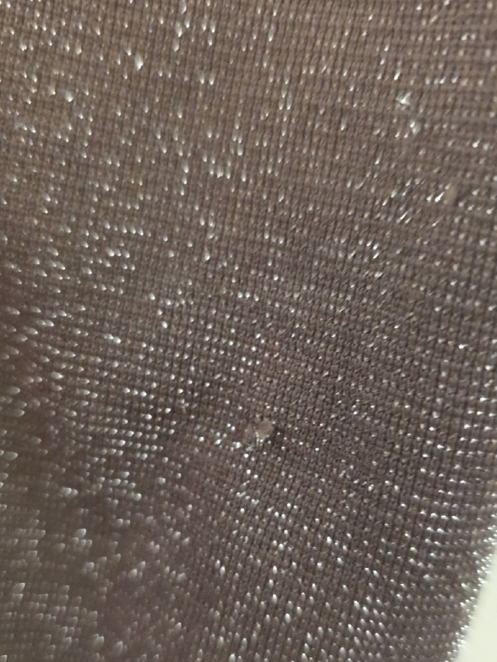 Intimately Free People Metallic Knit Crop Cami Brown M/L - Picture 3 of 9